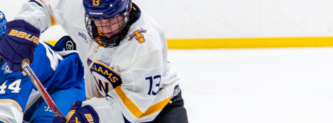 BSP Hockey Camps